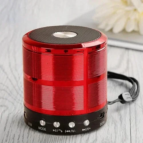 Altavoz Bluetooth Ws-887 con Cordón Soporte Llamada Manos Libres FM U Disk TF Card Aux (Rojo)
