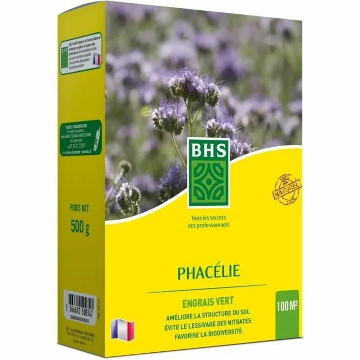 BHS Phacelia | 500g | 100 m² | Crecimiento Muy Rápido | Limita la Aparición de Malezas | Resistencia a la Sequía PHA500