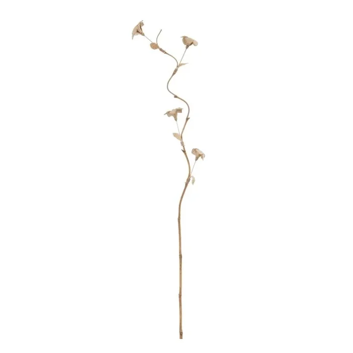 BigBuy Home Rama Beige Flor 27 x 27 x 170 cm
