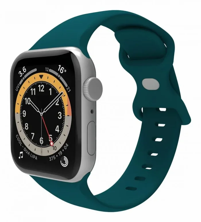 Celly WBANDSIL44GN pieza y accesorio para reloj Correa de reloj