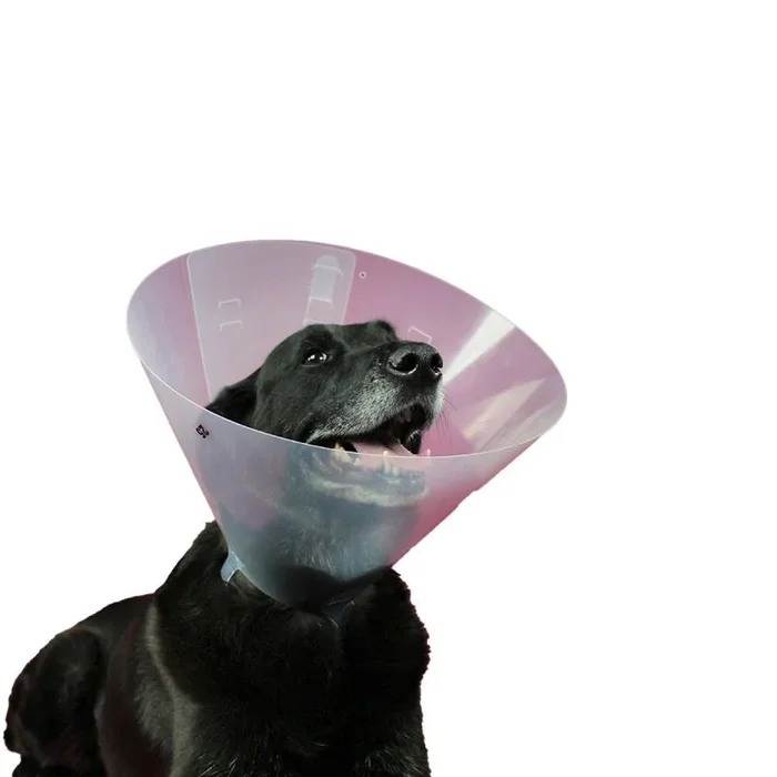 Collar isabelino para perros kvp betsy (33-40 cm)