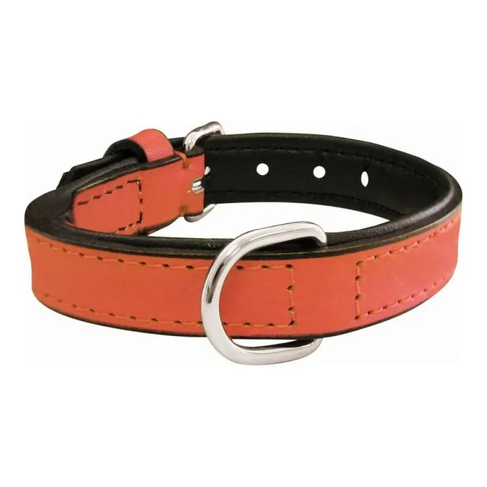 Collar para perro gloria acolchado coral (30 x 1,5 cm)