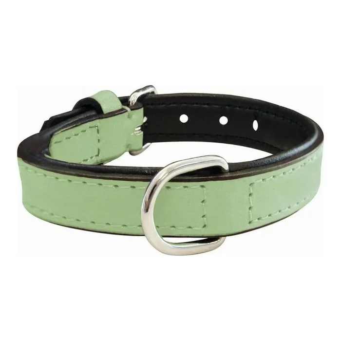 Collar para perro gloria acolchado verde (35 x 1,5 cm)