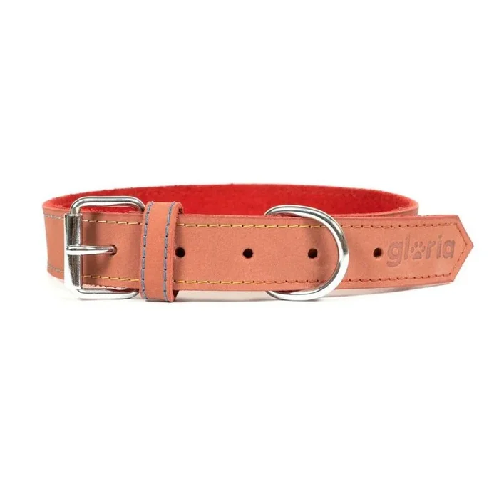 Collar para perro gloria oasis rojo (1,5 x 40 cm)