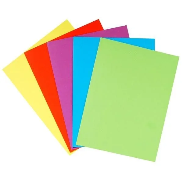 Exacompta 415000E carpeta Caja de cartón Multicolor A4