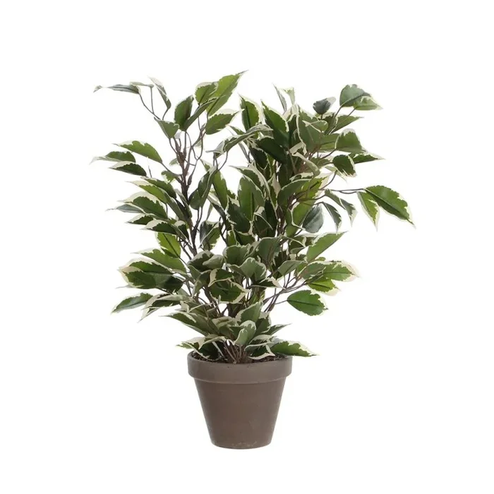 Ficus Natasja Planta artificial en Maceta Stan – H40 x Ø30 cm – Piel Verde