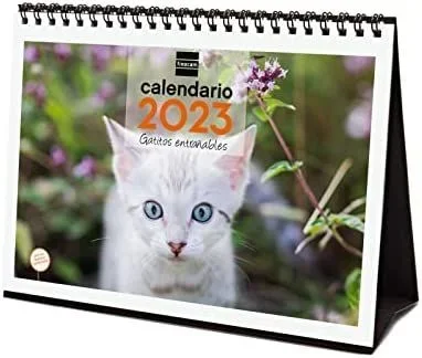 Finocam calendario gatitos de sobremesa para escribir s 2023