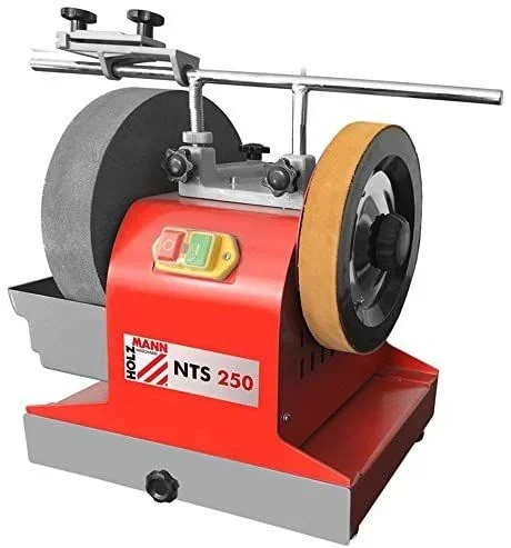 Holzmann Maschinen NTS250_230V – Lijadora en seco y húmedo (200 W, 250 mm)