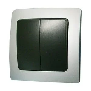 Interruptor Doble Empotrar PLATA/GRIS