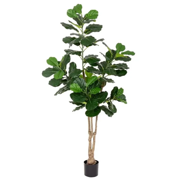 LOLAhome | Plantas Artificiales Decorativas Ficus | Decoración Hogar Interior y Exterior | Árbol Artificial Realista con Protección UV | Macetero Decorativo | 175 CM
