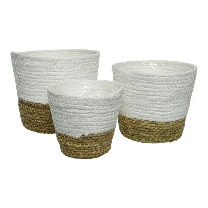 Maceta de algas marinas trenzadas de 13 – 17 cm, juego de 3 unidades – Cesta de mimbre estilo boho natural blanco – Maceta para plantas para interior y exterior – Cesta de almacenamiento – Home Garden