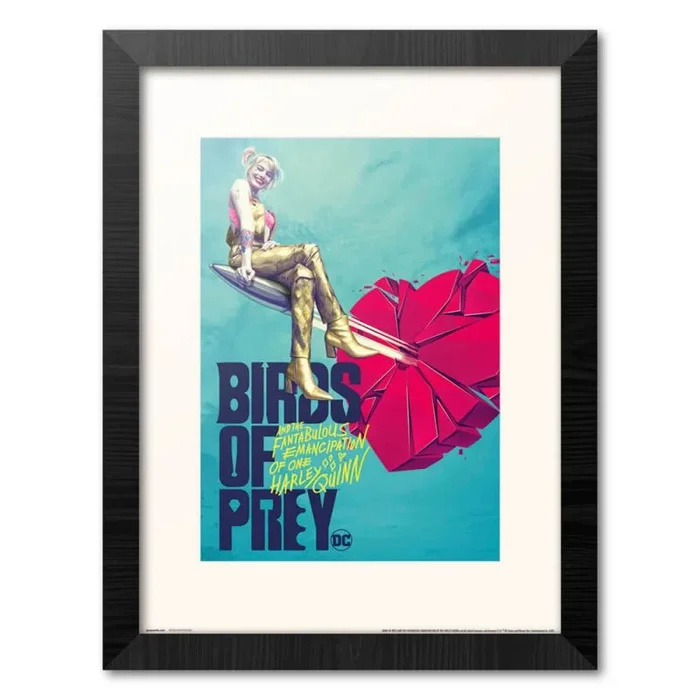 Print enmarcado 30×40 cm birds of prey broken heart