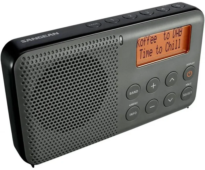 Sangean Pocket 640 Portátil Analógico y digital Gris
