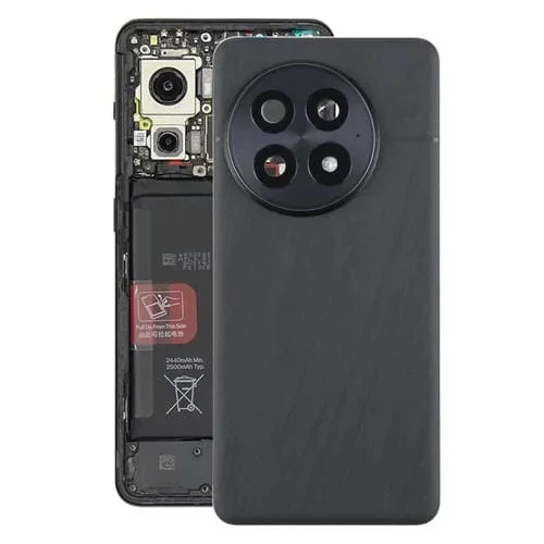 Tapa Trasera Batería Vidrio OnePlus 13 CPH2655 CPH2653 Lente Cámara (Negro Mate)