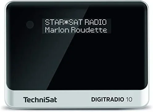 TechniSat DIGITRADIO 10 Personal Analógico y digital Negro, Plata