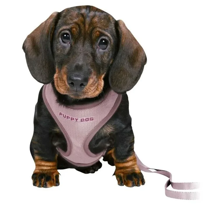 Trixie 15564 Junior Puppy Arnés Suave con Correa, 60 g