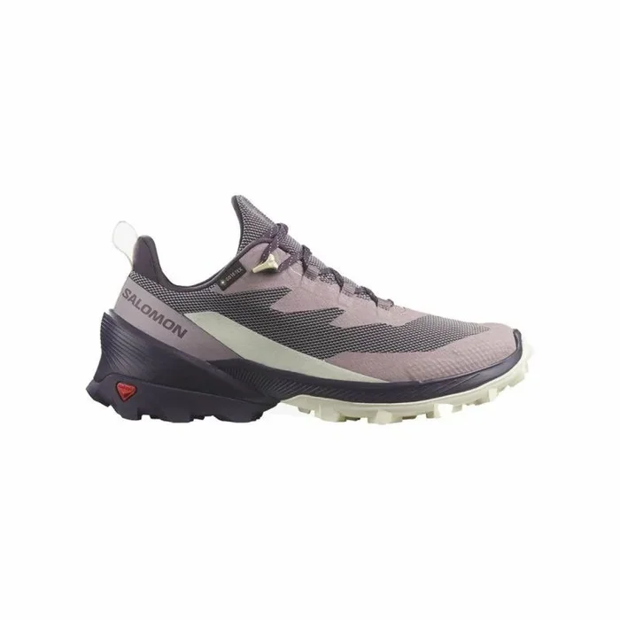 Zapatillas de Running para Adultos Salomon Cross Over 2 Gore Ciruela 40